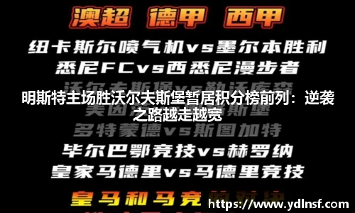 明斯特主场胜沃尔夫斯堡暂居积分榜前列：逆袭之路越走越宽