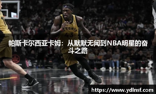 球速体育平台登录入口