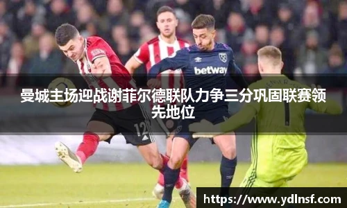 678体育官网入口