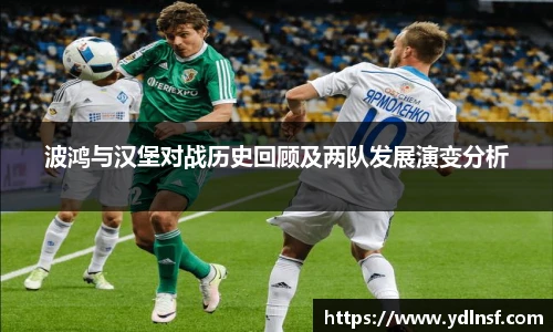 678体育官网入口