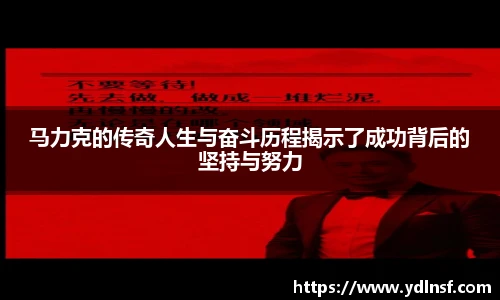 678体育官网入口