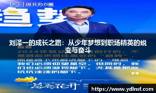 678体育官网入口