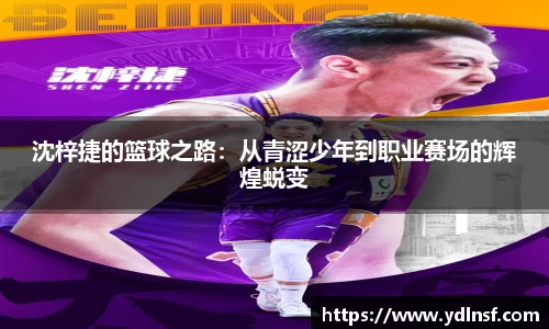 678体育官网入口