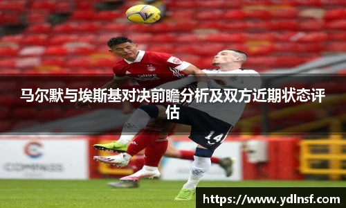 678体育官网入口